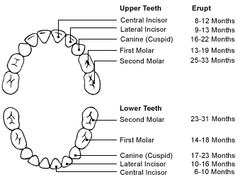 family-dental-tempe-az